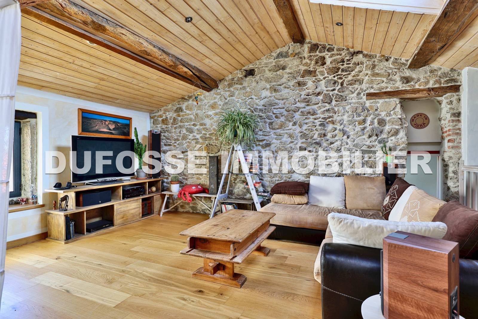 Maison sur Messimy avec vaste Espace télé lumineuse avec belle hauteur sous plafond