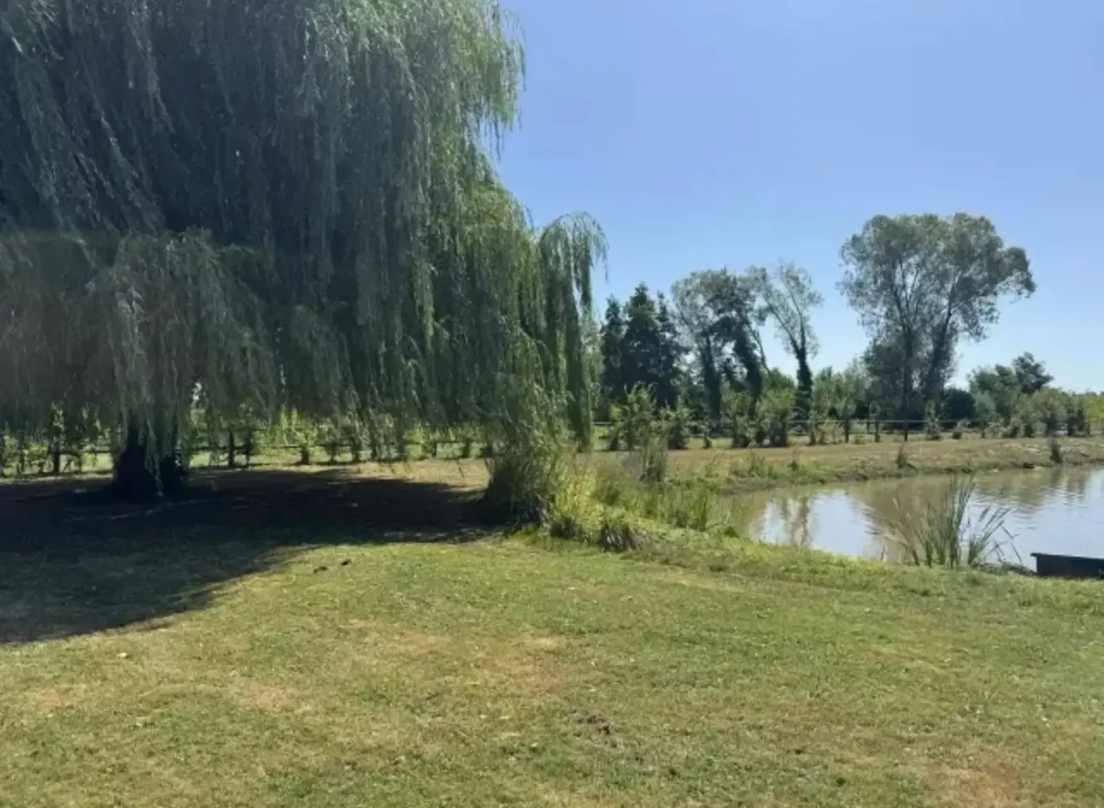 Maison bressane rénové – Étang privé, piscine et plus de 2 hectares de terrain