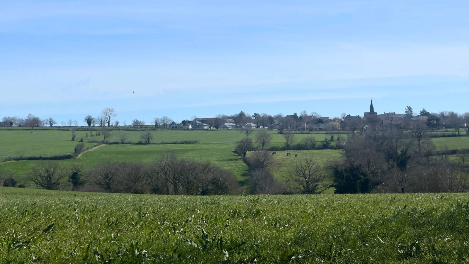 Propriété équestre avec habitations, gîtes et 6,5 hectares en Aveyron