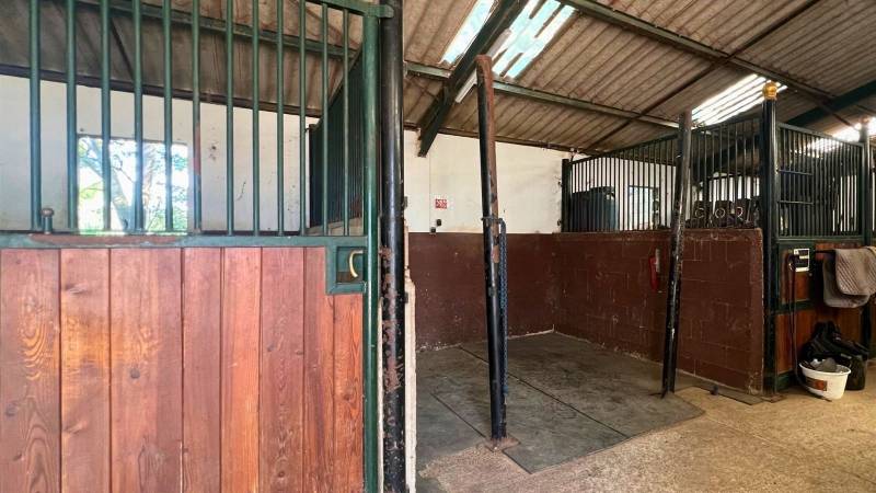 Structure équestre dans le Gard