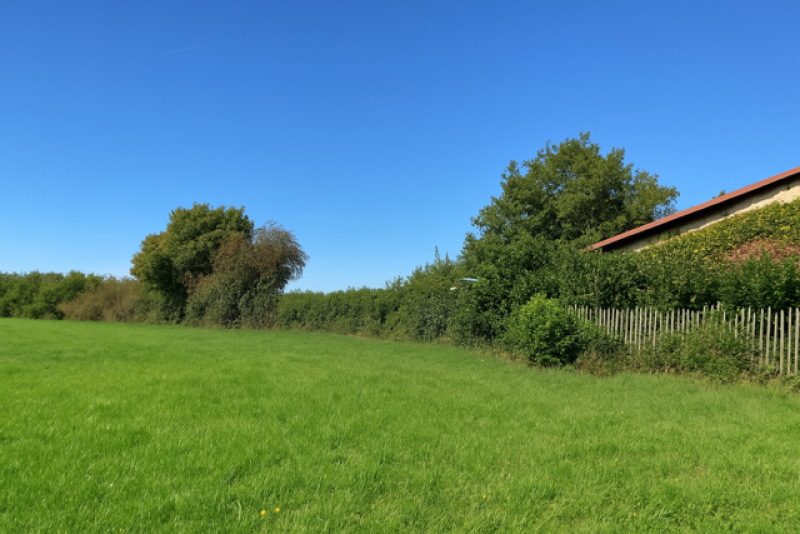 Terrain plât à bâtir - Vue dégagée sur la campagne - Charantonnay