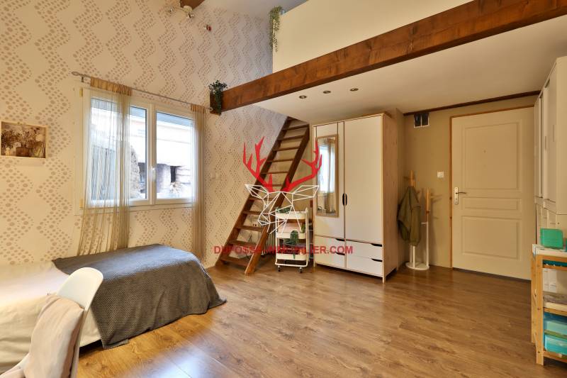 Isère - Charmante maison de type 5 avec piscine, jacuzzi, sauna, cave, dojo, atelier...