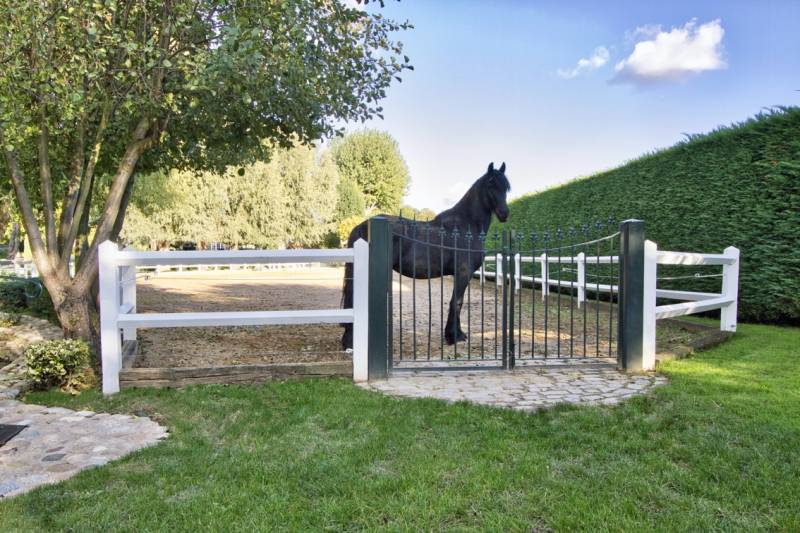 Propriete piscine étang box chevaux Villefranche-sur-Saône Sainte-Euphémie au calme avec étang, piscine, grand terrain, 5 chambres