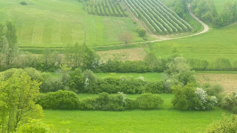 Propriété à vocation équestre de 10ha proche Moissac