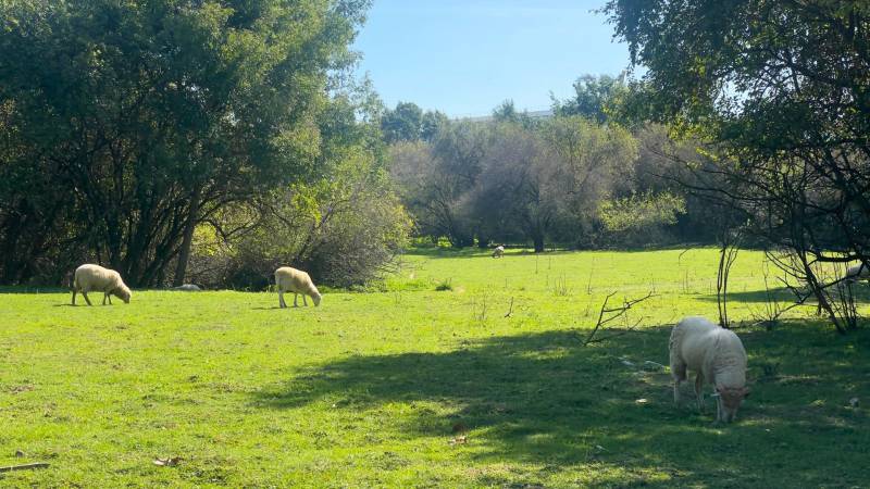 Appartement de type 3 lumineux avec Terrasse à Toulouse 