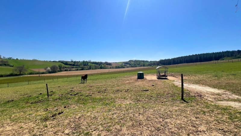 Propriété équestre de 13 hectares à découvrir - Tarn-et-Garonne