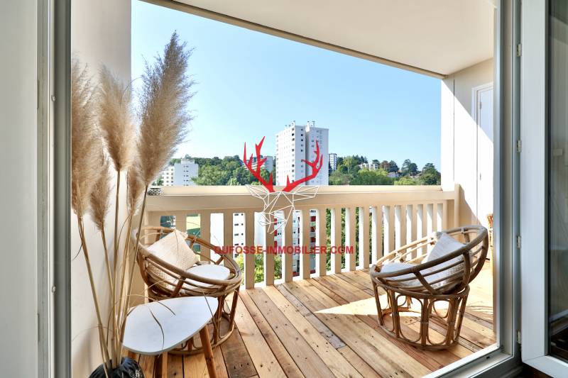 T5 Lyon 5 limite Tassin vue dégagée 
