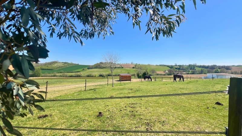 Propriété équestre de 13 hectares à découvrir - Tarn-et-Garonne