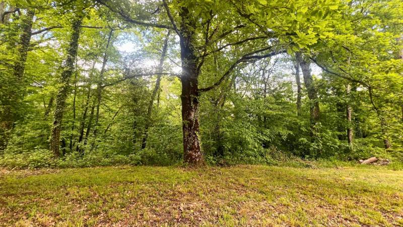 Propriété de 10ha proche Montauban