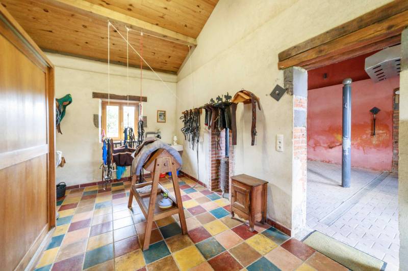 Immobilier équestre en Auvergne