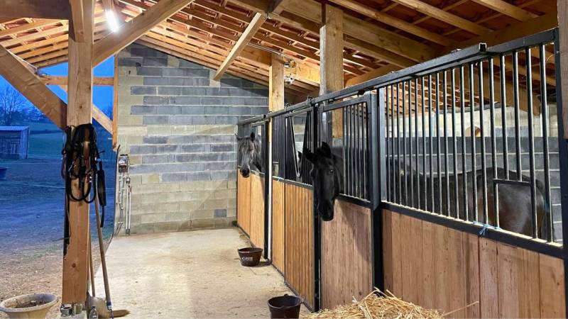 Propriété équestre alliant confort et fonctionnalité en Hautes-Pyrénées
