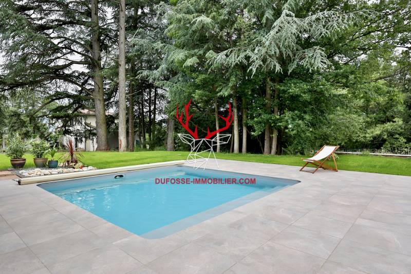 Piscine contemporaine