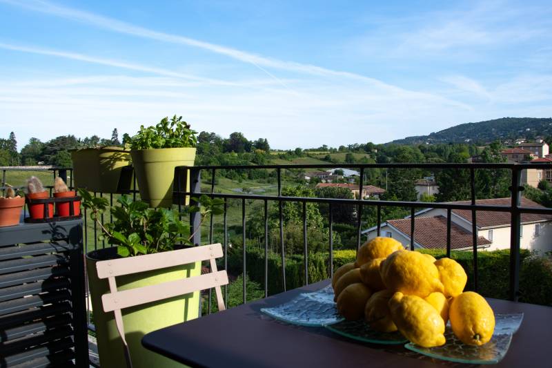 Appartement plein centre Saint-Didier-au-Mont-d'Or avec terrasse et vue
