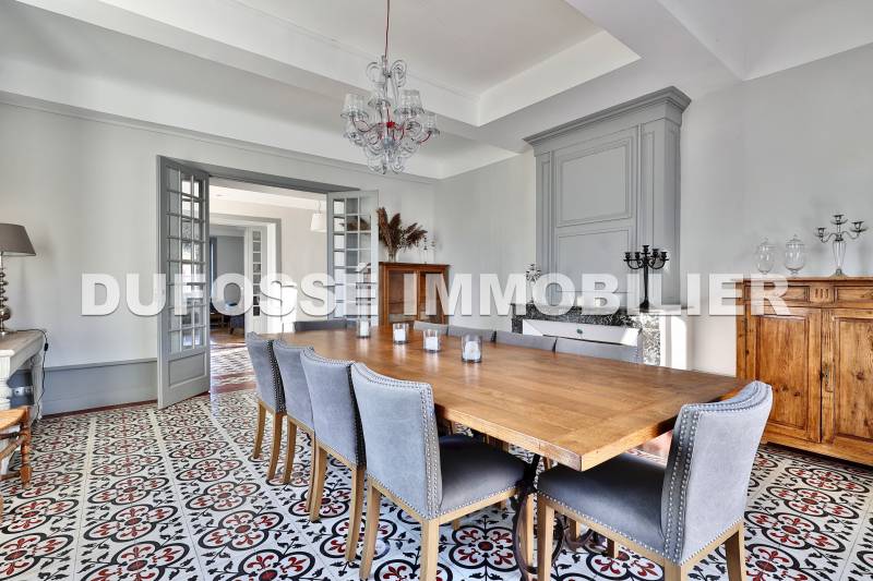 Château au sein d'un domaine de plus de 18 hectares. Saint-Marcel-en-Dombes La Dombes domaine dans les dombes