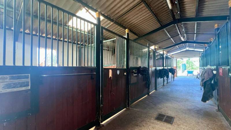 Structure équestre dans le Gard