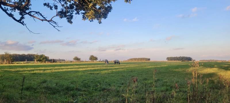 Propriété équestre de 6 hectares située dans l'Eure