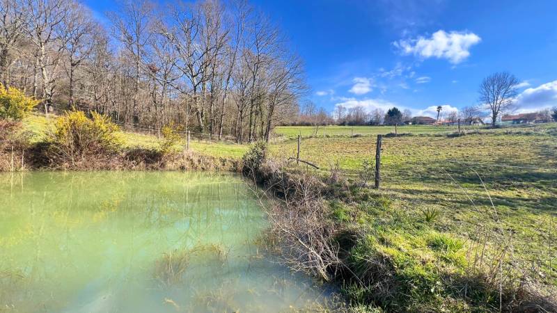 Propriété équestre alliant confort et fonctionnalité en Hautes-Pyrénées