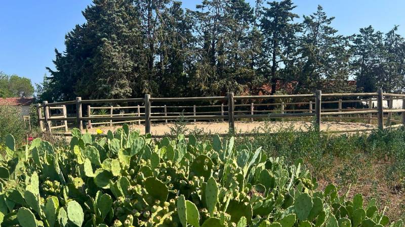 Structure équestre à vendre dans le Gard