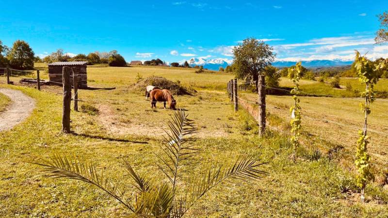 Propriété équestre alliant confort et fonctionnalité en Hautes-Pyrénées