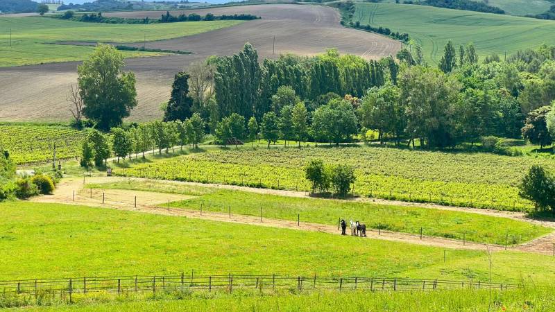 Propriété équestre de 6,3 hectares au cœur de l’Aude