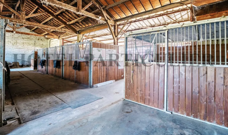 Saint-Rémy-de-Provence Propriété au calme campagne à vendre Terrain de 4,5 hectares