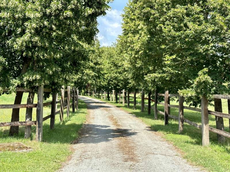 Propriété équestre dans le Puy-de-Dôme