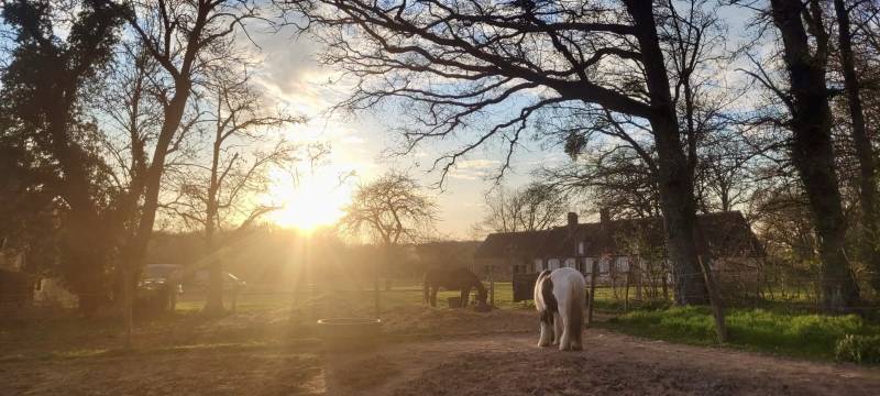 Propriété équestre de 6 hectares située dans l'Eure
