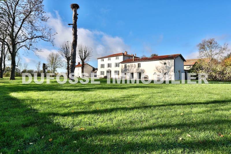 Château au sein d'un domaine de plus de 18 hectares. Saint-Marcel-en-Dombes La Dombes domaine dans les dombes