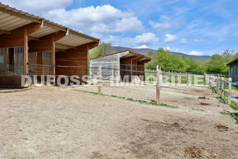 Propriété équestre à vendre proche frontière Suisse