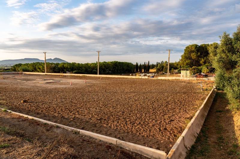 Espagne : Finca clé en main de 3,5 hectares