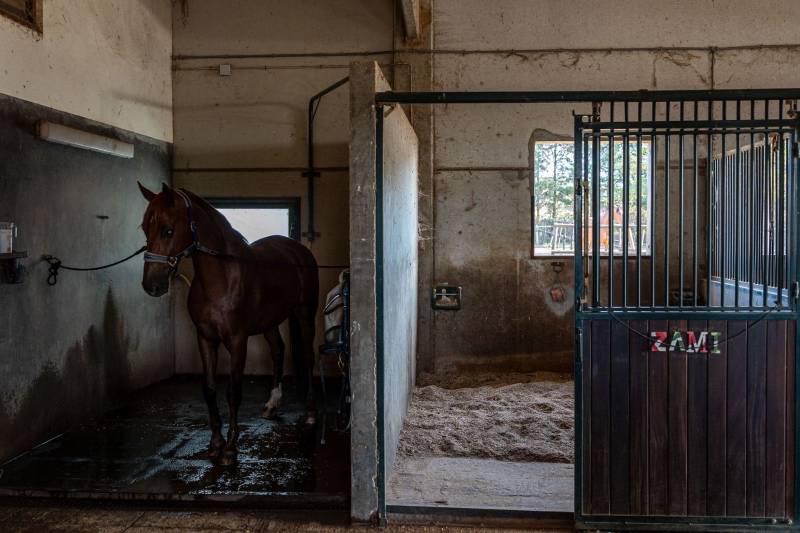 Espagne : Finca clé en main de 3,5 hectares