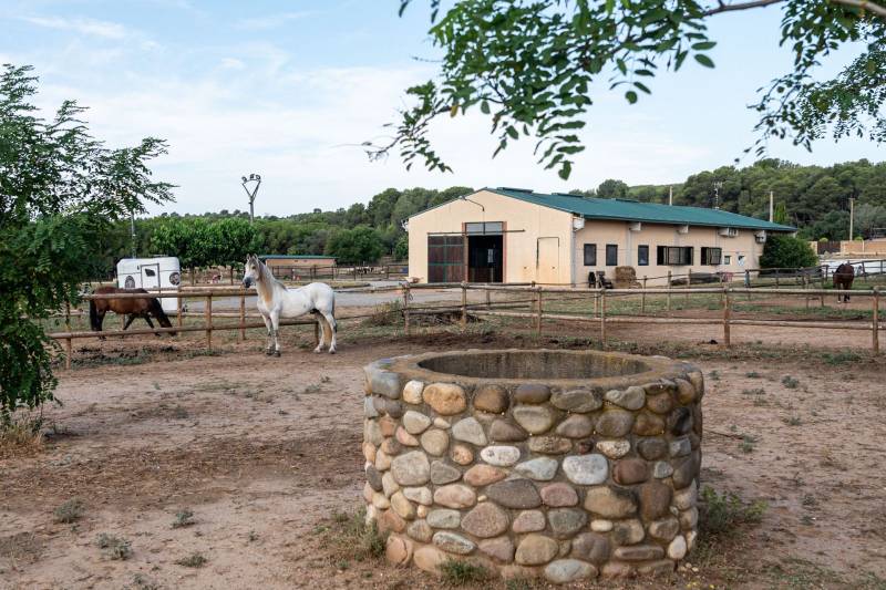 Espagne : Finca clé en main de 3,5 hectares