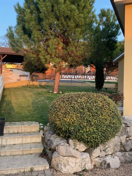vue sur les Monts du Beaujolais beau terrain avec piscine chauffée et sécurisée
