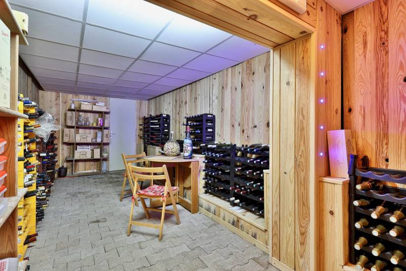 NEYRON - Maison familiale de 323m2 surplombant le parc de Miribel-Jonage