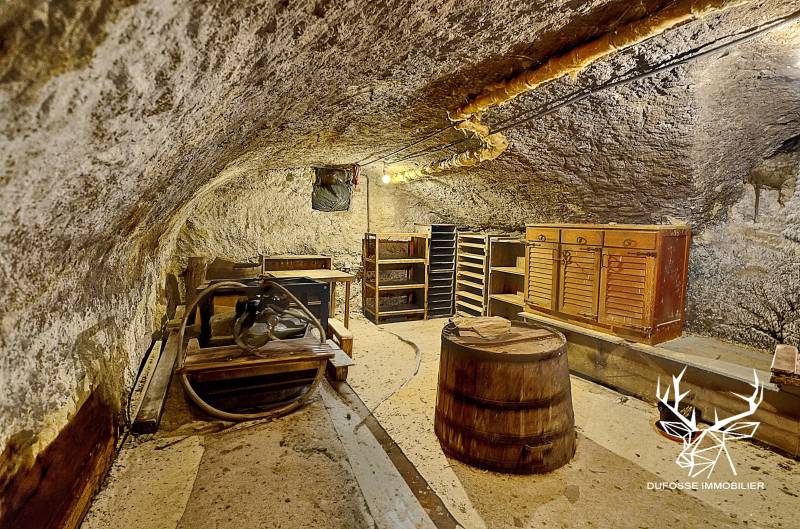 Au calme, maison avec dépendances (cave, grange, abri de jardin) sur terrain arboré 780m²