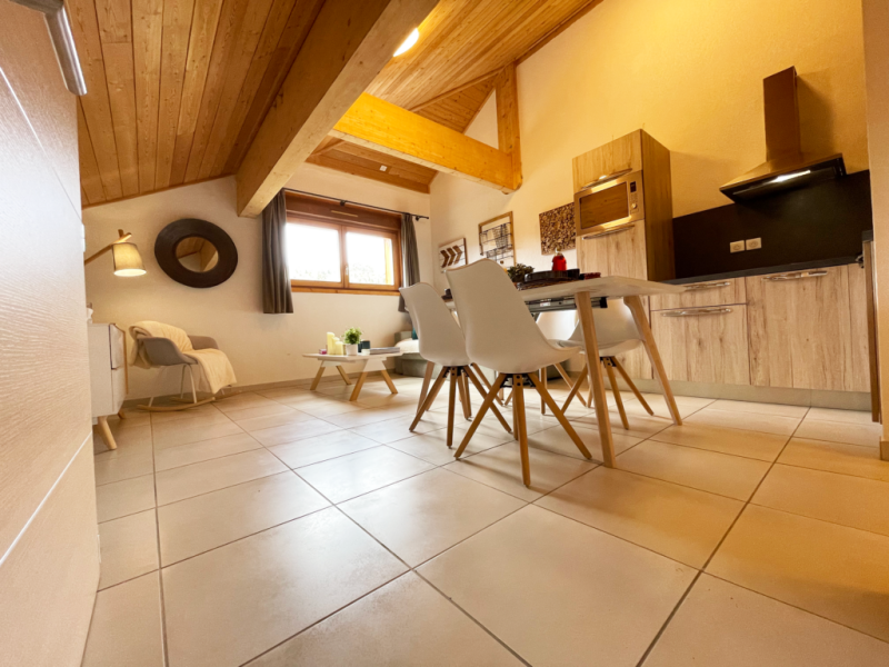 STUDIO SOUS COMBLE - RESIDENCE PISCINE LA joue du loup dans le devoluy
