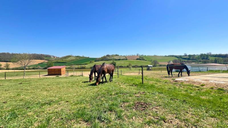 Propriété équestre de 13 hectares à découvrir - Tarn-et-Garonne