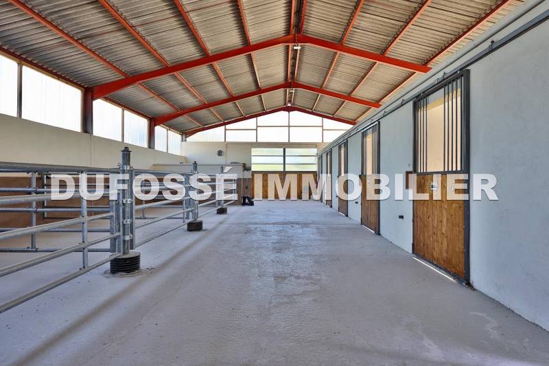 Immobilier équestre Rhône-Alpes