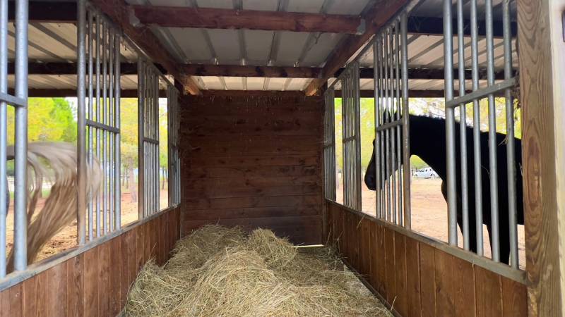Hérault : propriété équestre rare sur 4,5 hectares