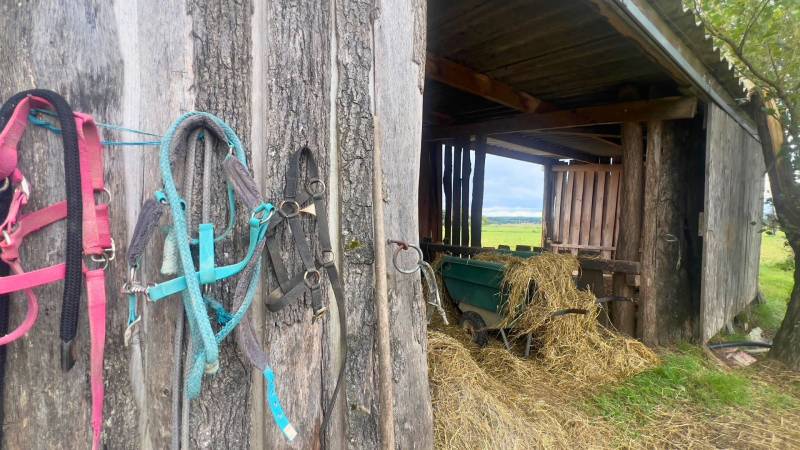 Propriété équestre de 9ha dans le Tarn