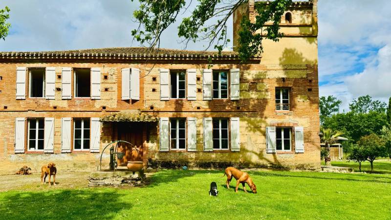 Propriété équestre en Tarn-et-Garonne Occitanie 