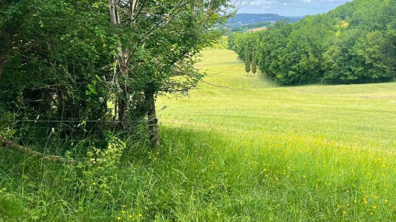Domaine équestre de charme sur 40 hectares au coeur du Lot-et-Garonne
