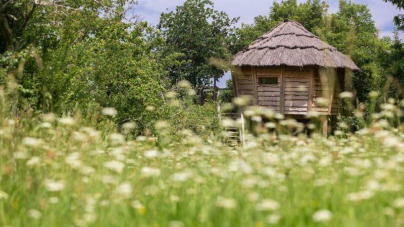 Propriété insolite de 5 hectares au coeur du Gers