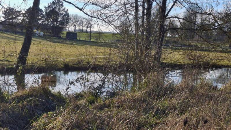 Propriété équestre à vendre  Lot-et-Garonne