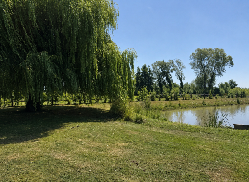 Simard, Maison bressane rénové – Étang privé, piscine et plus de 2 hectares de terrain
