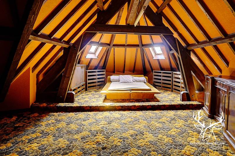 Charantonnay, magnifique propriété 9 pièces avec dépendances (garage double, cave, buanderie, espaces de stockage...) et piscine sur parcelle de 2ha