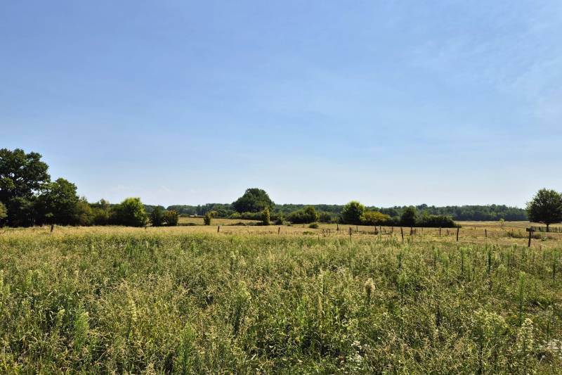 Aux portes de Louhans : Charmante propriété équestre de 2,2 ha