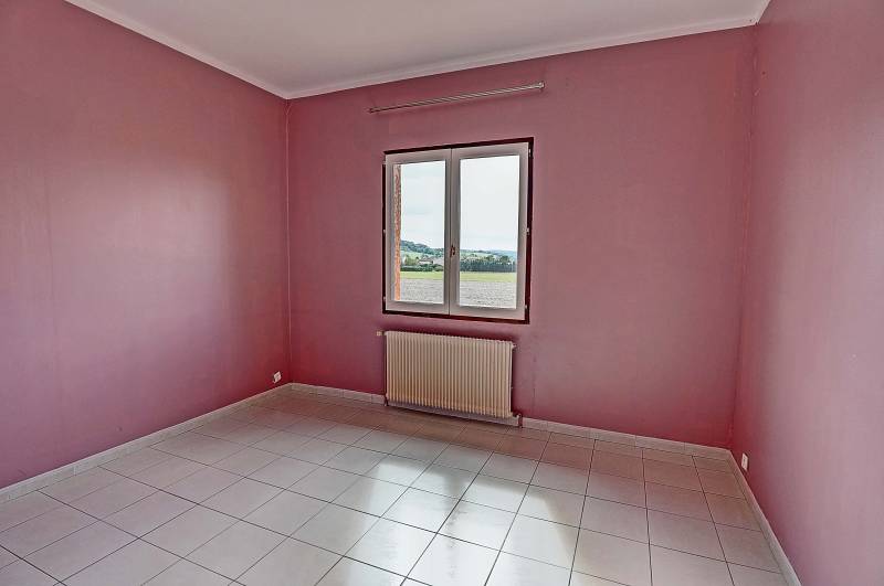 Bien rare à Diemoz ,grande maison de caractère avec extérieur