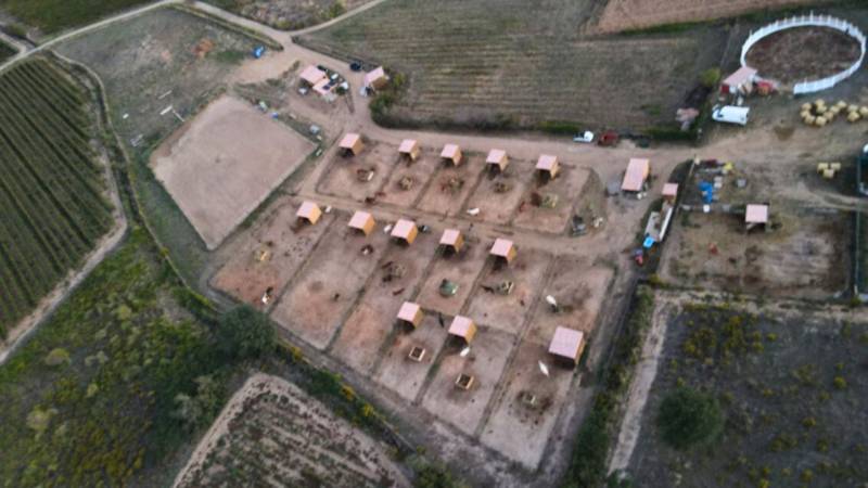 Structure équestre de 2,4ha située dans l' Hérault  nichée au coeur des vignes