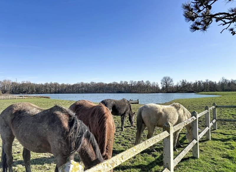 Domaine d'exception de 35 hectares au coeur de la Dombes